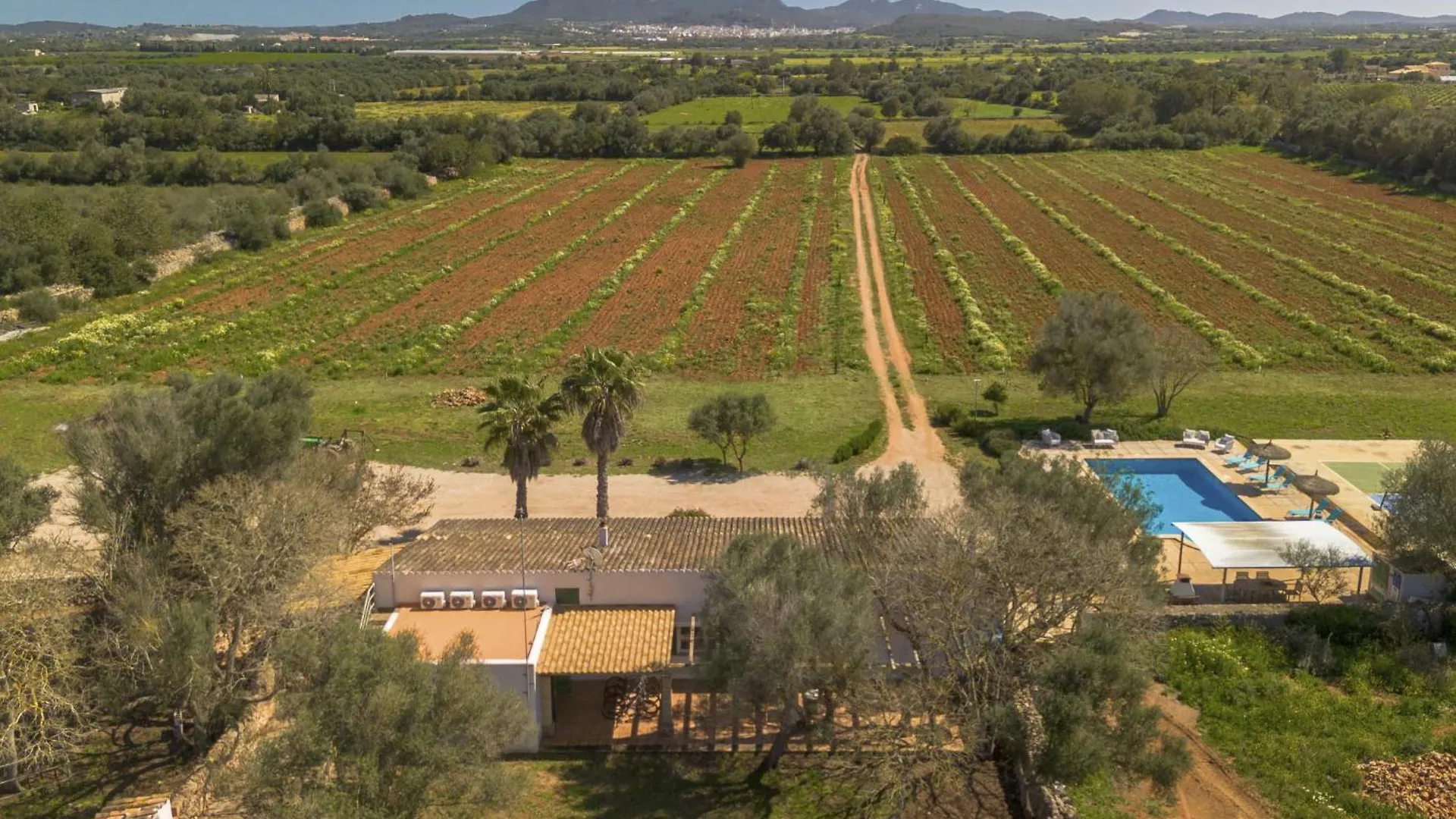 Holiday Home Can Soler - Fel125 By Interhome Felanitx